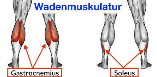 wadenmuskulatur_aufbauen-wadenmuskeln