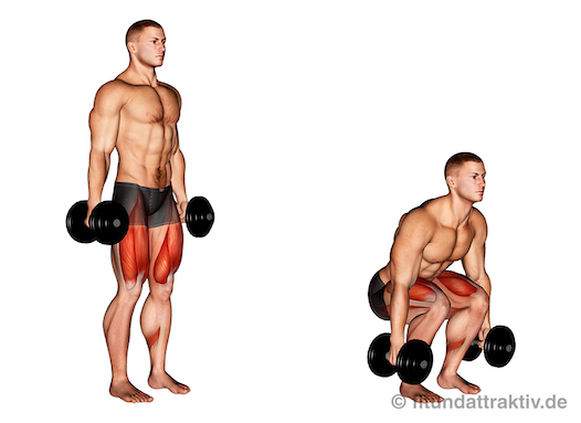 Morgens Krafttraining: Bild von der Übung Kniebeugen mit Kurzhanteln.