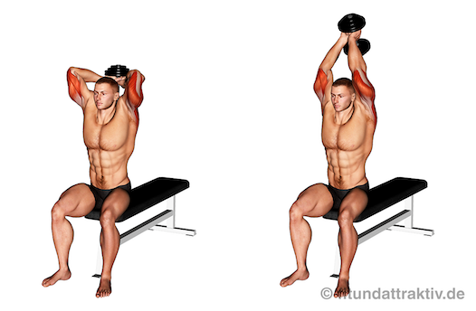 Morgens Krafttraining: Bild von der Übung Trizepsdrücken beidarmig.