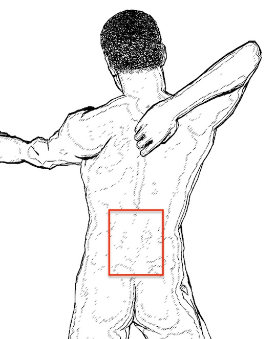Bauchfett verbrennen: Die untere Rückenmuskulatur (Rückenstrecker, roter Rahmen) muss gleich stark trainiert werden wie die Muskeln am Bauch.
