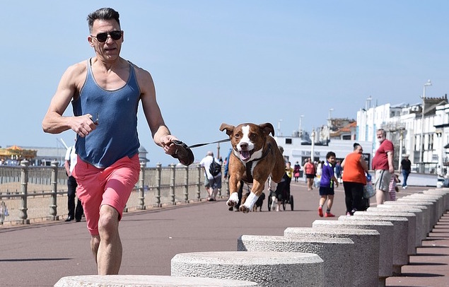 Bierbauch weg: Foto von einem Mann beim Joggen mit Hund.
