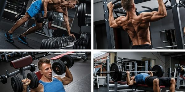 Ganzkörpertrainingsplan: Foto von verschiedenen 4 Übungen zum Muskeltraining