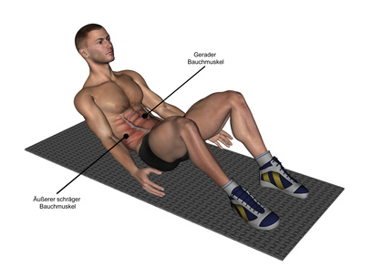 Effektives Bauchtraining: Foto von einer Grafik, die Muskelbeanspruchung bei Sit-Ups visualisiert