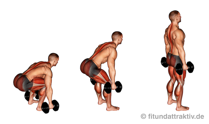 Krafttraining mit Kurzhanteln: Bild von der Übung Kreuzheben mit Kurzhanteln.