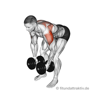 Rückenübungen: GIF von der Trapezmuskel Übung Seitheben vorgebeugt.