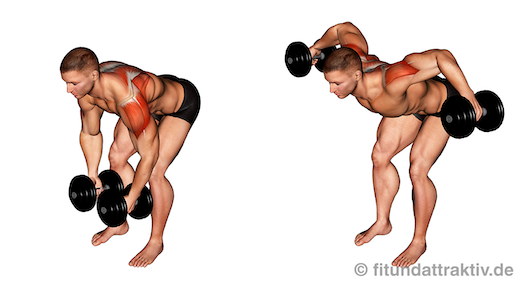 Rückenübungen: Bild von der Trapezmuskel Übung Seitheben vorgebeugt.