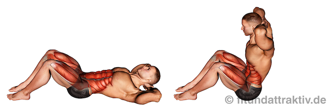 Bild von der Übung Rumpfbeugen Sit-ups.