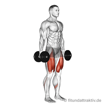 Beintraining mit Kurzhanteln: GIF von der Übung Kniebeugen mit Kurzhanteln.