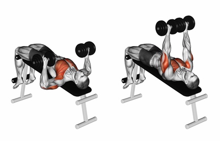 ᐅᐅᐅ Effektives Hanteltraining Zu Hause Fur Alle Muskelgruppen