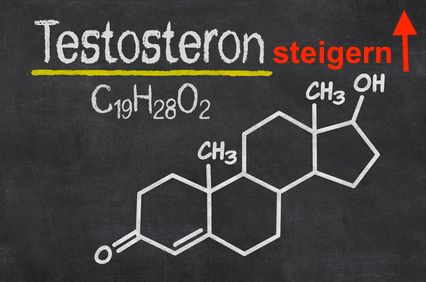 steroide kosten - Was Sie von Ihren Kritikern lernen können