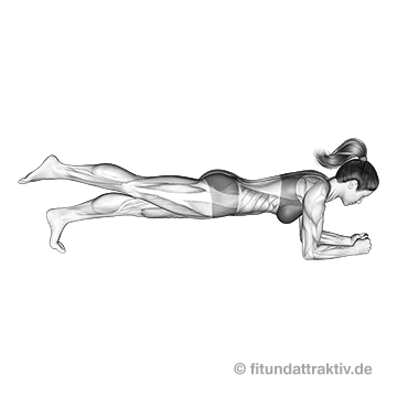 Bauchmuskeltraining für Anfänger: GIF von der Übung Unterarmstütz Beine anheben.