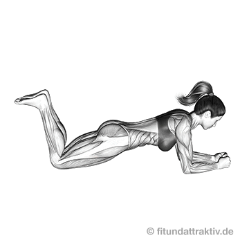 Bauchmuskeltraining für Anfänger: GIF von der Übung Unterarmstütz kniend.