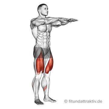 Beinbizeps Übungen ohne Geräte: GIF von der Übung Kniebeuge.