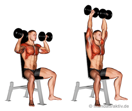Breites Kreuz Übungen: Bild von der Übung Schulterdrücken mit Kurzhanteln.
