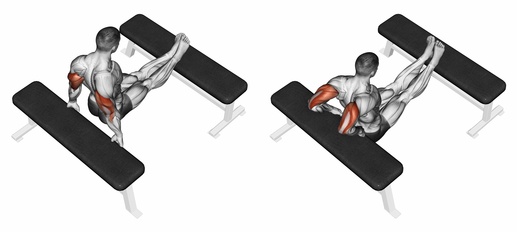á…á…á… Oberkorpertraining Ohne Gerate Zuhause Fur Anfanger