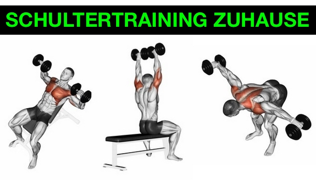 ᐅᐅᐅ Effektives Schultertraining Zuhause Mit Kurzhanteln