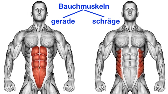 Foto von den geraden Bauchmuskeln und schrägen Bauchmuskeln.