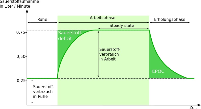 Hochintensives Intervalltraining: Grafik vom Nachbrenneffekt beim Sport.