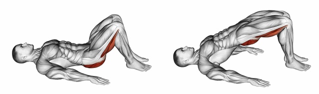 Beinmuskeltraining: Foto von der Übung Beckenheben ohne Gewicht.