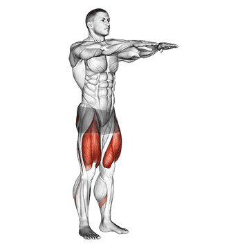Beinmuskeltraining: GIF von der Übung Kniebeuge ohne Gewicht.
