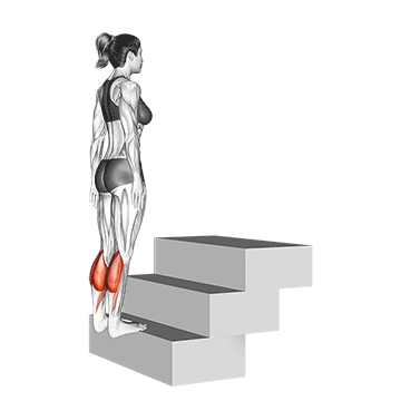 Beinmuskeltraining: GIF von der Übung stehendes Wadenheben.