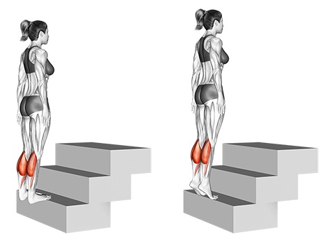 Beinmuskeltraining: Foto von der Übung stehendes Wadenheben.