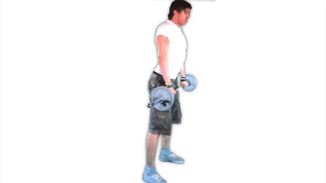 Rückenstrecker Übungen: GIF von der Übung Kreuzheben mit Langhantel.