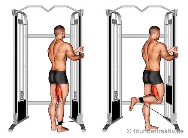 Beinbeuger Übungen: Bild von der Übung Beinbeugen am Kabelzug.