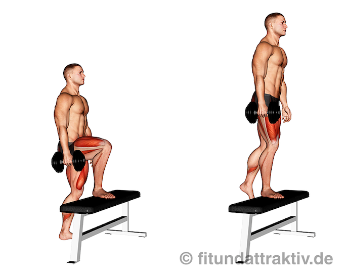 Beinbeuger Übungen: Bild von der Übung Kurzhantel Aufsteiger.