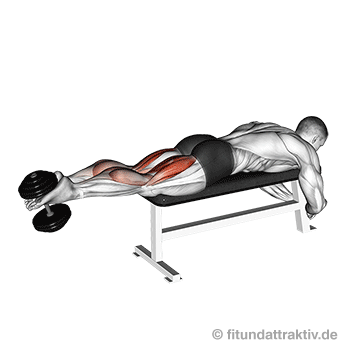 Beinbeuger Übungen: GIF von der Übung Kurzhantel Beinbeugen.