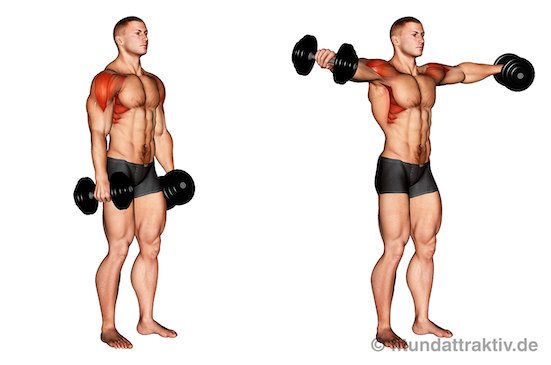 Hanteltraining PDF Trainingsplan: Bild von der Übung Seitheben mit Kurzhanteln.