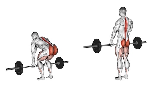 Unteren Rücken trainieren: Top 7 Übungen (inkl. Bilder + Videos)