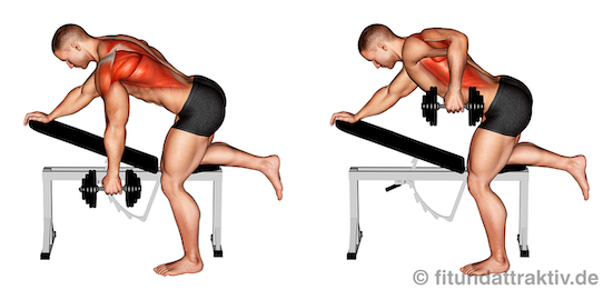 Rückenschule Übungen PDF: Bild von der Übung Kurzhantel Rudern.