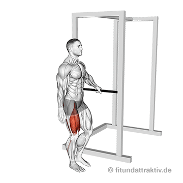 GIF von der Übung einbeinige Kniebeuge mit festhalten.