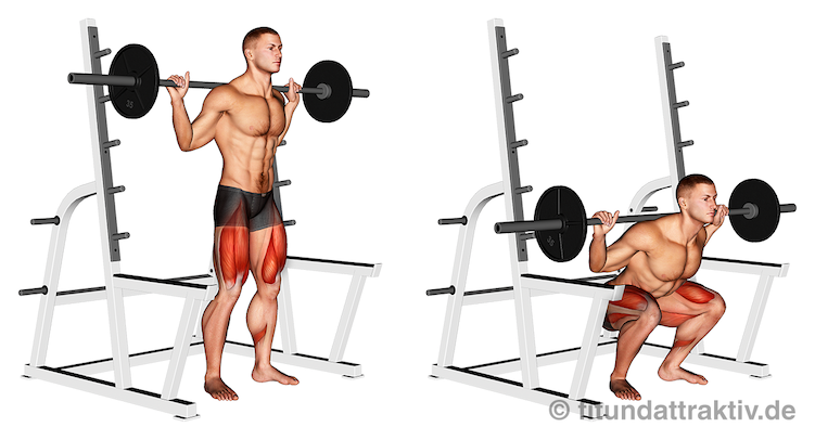 Bild von der Übung Kniebeugen mit Langhantel.