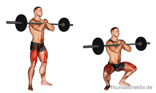 Bild von der Übung Zercher Kniebeugen mit Langhantel.