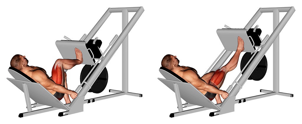 ᐅ Beinpresse Einbeinig Sitzend Und Horizontal Bilder Video