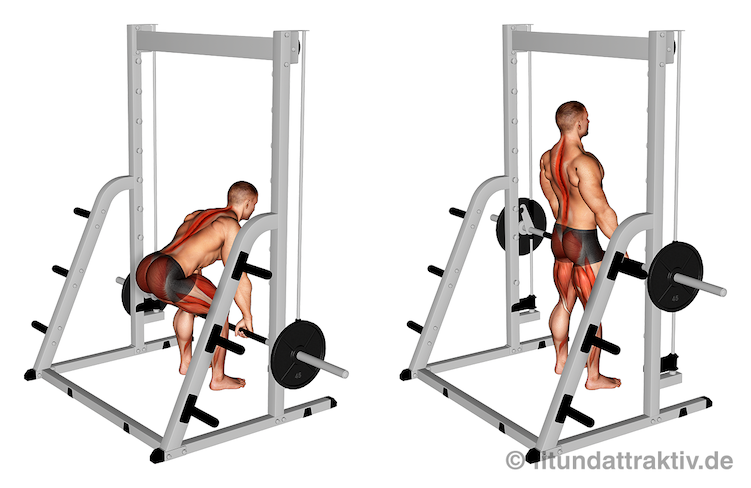 Bild von der Übung Kreuzheben Langhantel an der Multipresse.