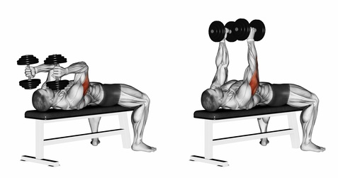 Palestra manubri