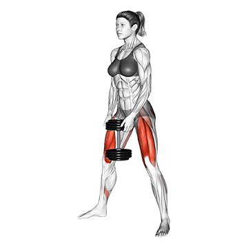 GIF vom Oberschenkelrückseite trainieren mit der Übung breite Kurzhantel Kniebeugen.
