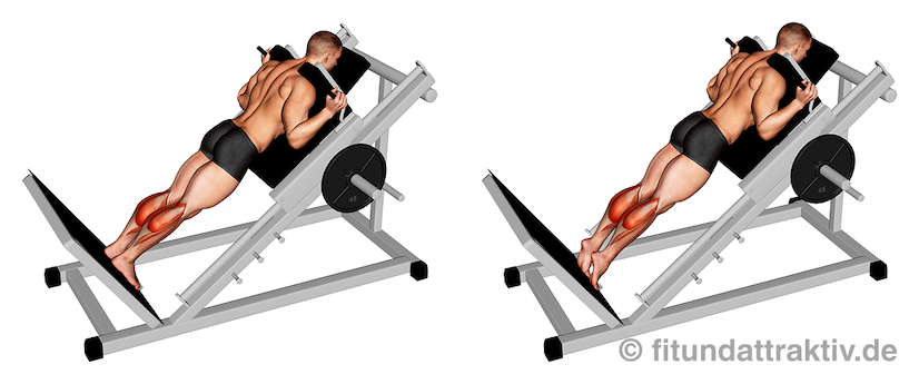 Wadenmuskulatur aufbauen: Bild von der Übung schräge Wadenheben Maschine.