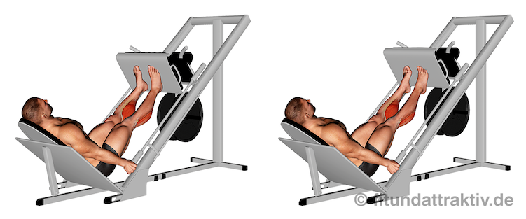 Wadenmuskulatur aufbauen: Bild von der Übung Wadenheben an der Beinpresse.