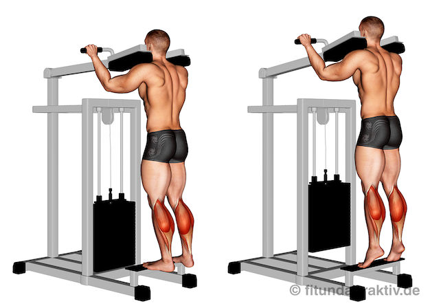 Wadenmuskulatur aufbauen: Bild von der Übung an der Wadenheben Maschine.