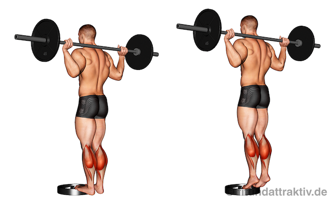 Wadenmuskulatur aufbauen: Bild von der Übung Wadenheben stehend mit Langhantel.