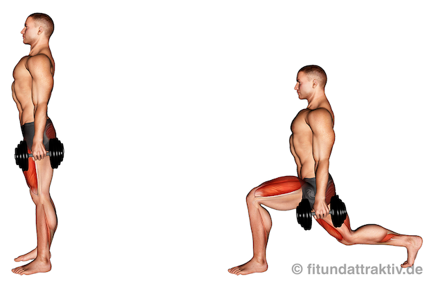 Bild von der Übung Ausfallschritte Kurzhantel nach hinten.