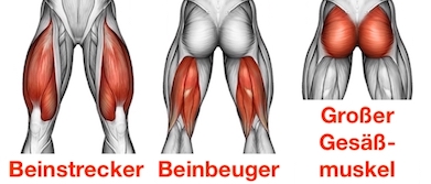 Foto von den Ausfallschritte Muskeln Beinstrecker, Beinbeuger und großer Gesäßmuskel.
