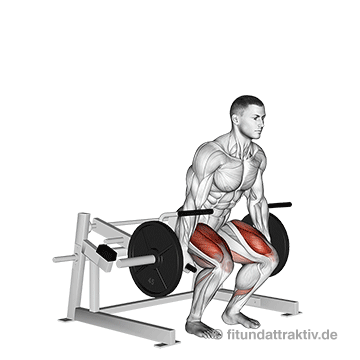 GIF von der Kreuzheben Technik an der Maschine.