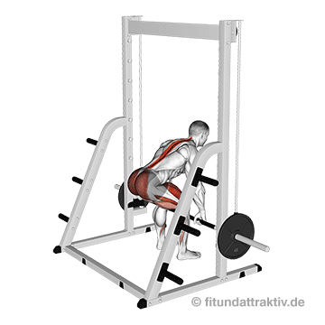 GIF von der Kreuzheben Technik an der Multipresse.