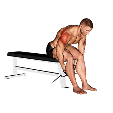 Schulterübungen Kabelzug: GIF von der Übung Seitheben vorgebeugt Kabelzug sitzend.