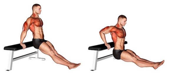ᐅ Arnold Dips Die 4 Besten Ausfuhrungen Bilder Videos